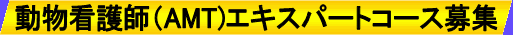 �����Ō�t�琬�G�L�X�p�[�g�R�[�X��W�iAHT)