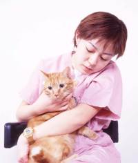 動物看護師_動物看護士